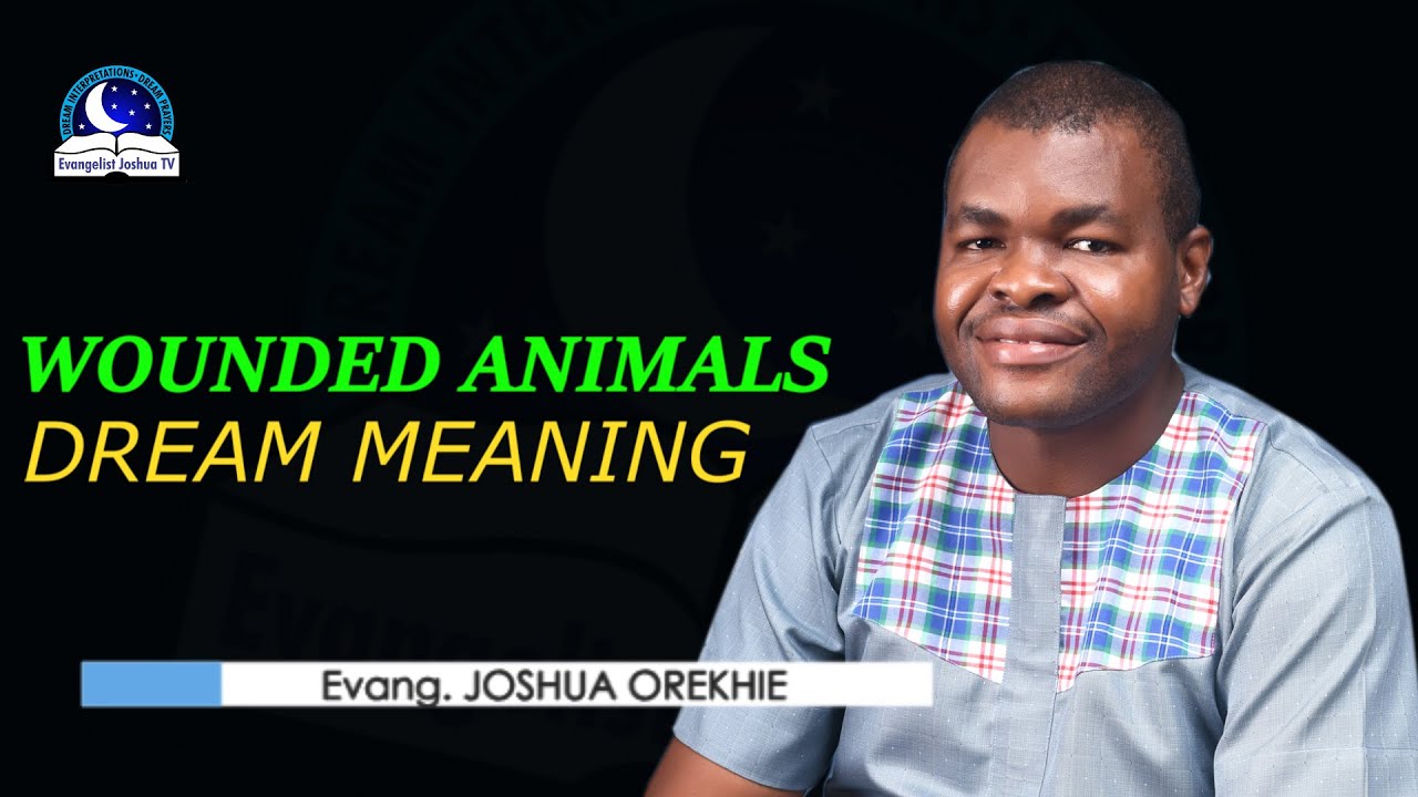 Wounded Animals Dream Meaning Biblical Interpretation and Symbolism