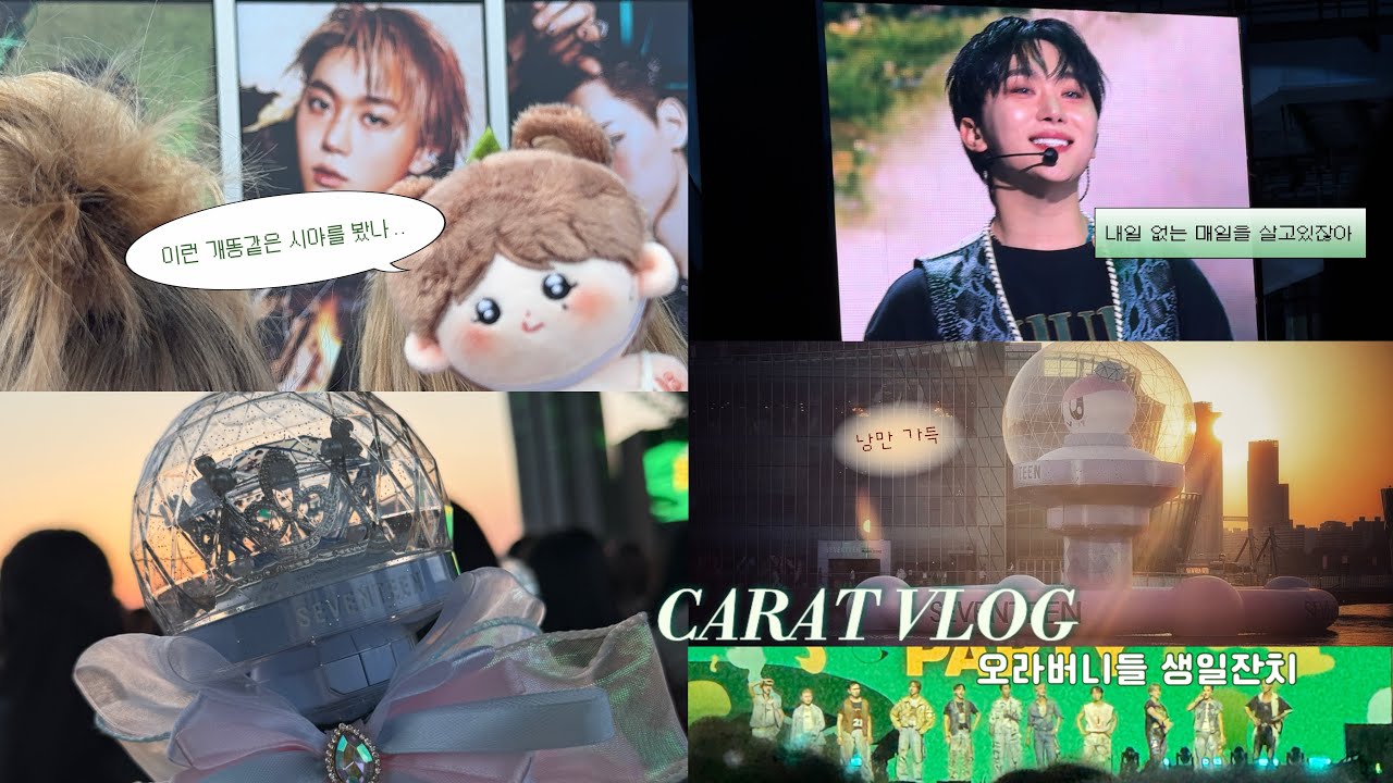 [캐럿로그] 엄청~~~ 뒷북친 스펙타클한 세븐틴 10주년 쇼케 | 5/25 B-day party 세븐틴 10주년 잠수교 쇼케이스