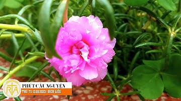 Phút Cầu Nguyện, Thứ Tư 13/09/2023: Mục tiêu cần vươn tới