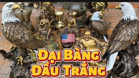 Tượng đại bàng Mỹ _ Nồi đồng _ Tì hưu bằng đồng. Tối 11/4 #độclạcầnthơ