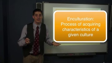 The Difference Between Race And Racism