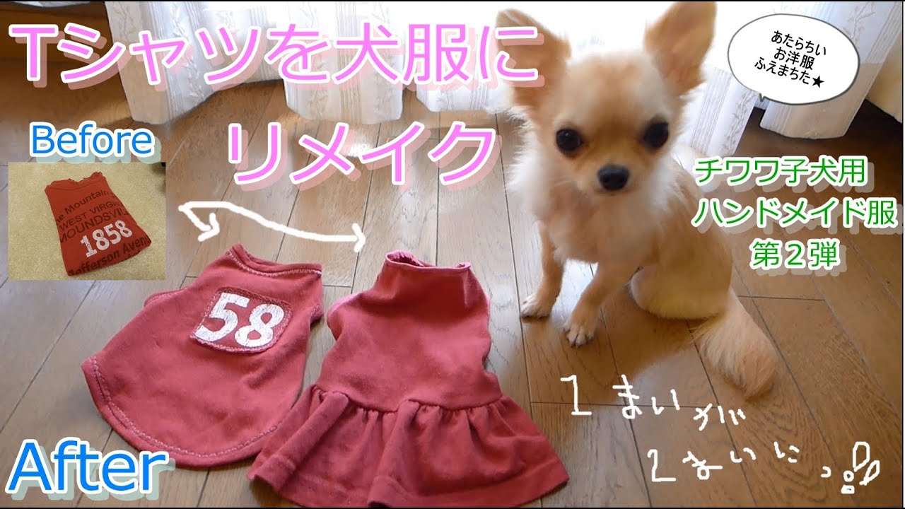 愛犬の服を作ろう 初めての犬服の作り方からコツをご紹介 Doghuggy