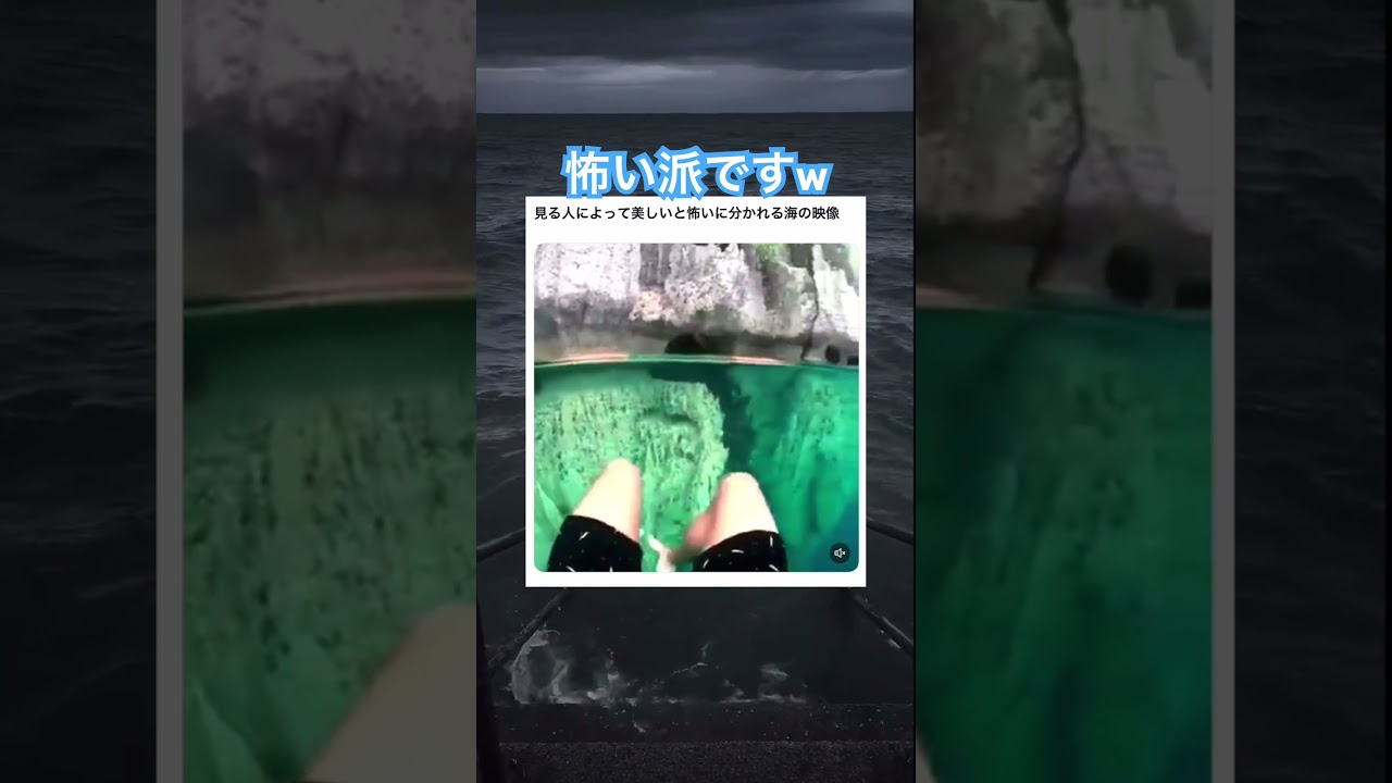 海洋恐怖症集まれw #shorts#tiktok#Twitter#おもしろ#お笑い#おすすめ#怖い #綺麗 #面白い#おもしろ動画#爆笑#バズれ