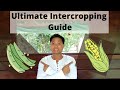 Ultimate Intercropping Guide (Gabay sa pag tabi-tabi ng mga tanim)