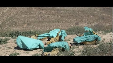 Dynamic Fire Shelter Deployment