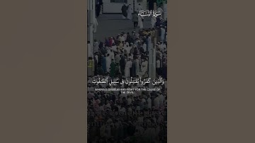 قبس من تراويح ليلة ٦ رمضان ١٤٤٦هـ | تلاوة فضيلة الشيخ د.عبدالله بن عبدالمحسن القرافي