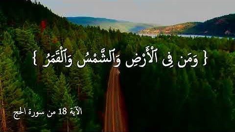 (٣٥)تلاوة خاشعة للشيخ هيثم الجدعاني رحمه الله. اللهم إجعل القرآن ربيع قلوبنا ونور صدورنا