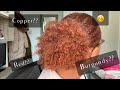 Creme of Nature hair dye Bronze copper (7.6) + Red copper (6.4) =🤷🏾‍♀️