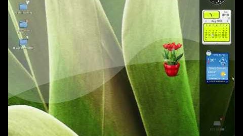 Google Gadget in Ubuntu Linux