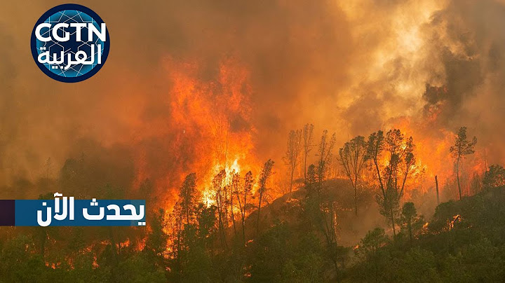 استمرار حرائق الغابات في كاليفورنيا