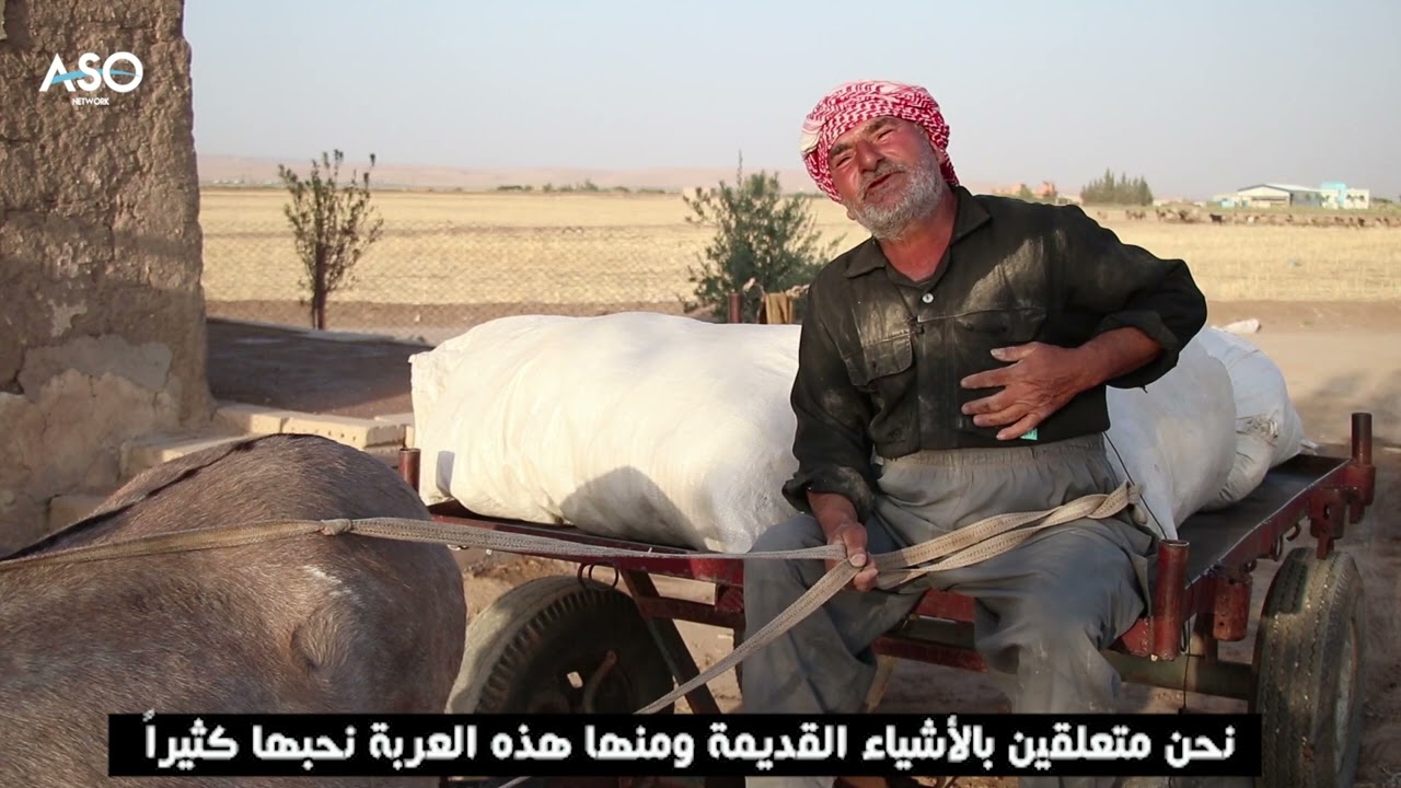 عمر قرنو: العربة والحمار.. وسيلة نقل عملية واقتصادية في برية عامودا