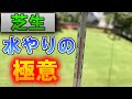【芝生】水やりの極意