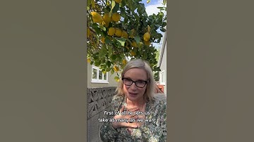 Decluttering Fun! || Tracy McCubbin