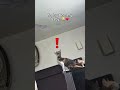 THE LOST MY HANDS