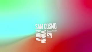 Sam Cosmo - I JUST WANNA KNOW (Lyrics video) Resimi