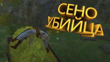 Кредо убийц | Assassin