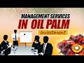The Real Reason Your Oil Palm Investment Underperforms