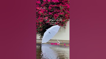 تلاوة خاشعة للشيخ رعد الكردي 🎧❤️‍🩹 #اكسبلور #أرح_سمعك_وقلبك #رعد_الكردي  #طمئن_قلبك