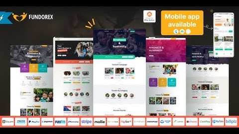 Build a Successful Crowdfunding & Donation Platform with Fundorex Script: Step-by-Step Guide
