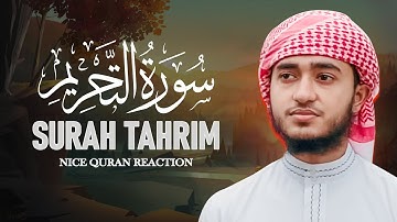 Surah At Tahrim سورة التحريم Relaxing Calming Soft Voice Of Qari Abu Rayhan