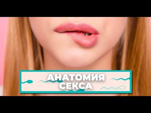 КАК УСТРОЕНА наша ВАГИНА? «Анатомия секса»