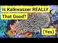 Kalkwasser Long Term Review Kalkwasser Long Term Review