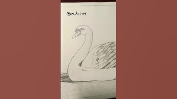 Swan sketch #trending #viral #shorts #short #drawing #painting #trend #art #artist #swansketch #swan