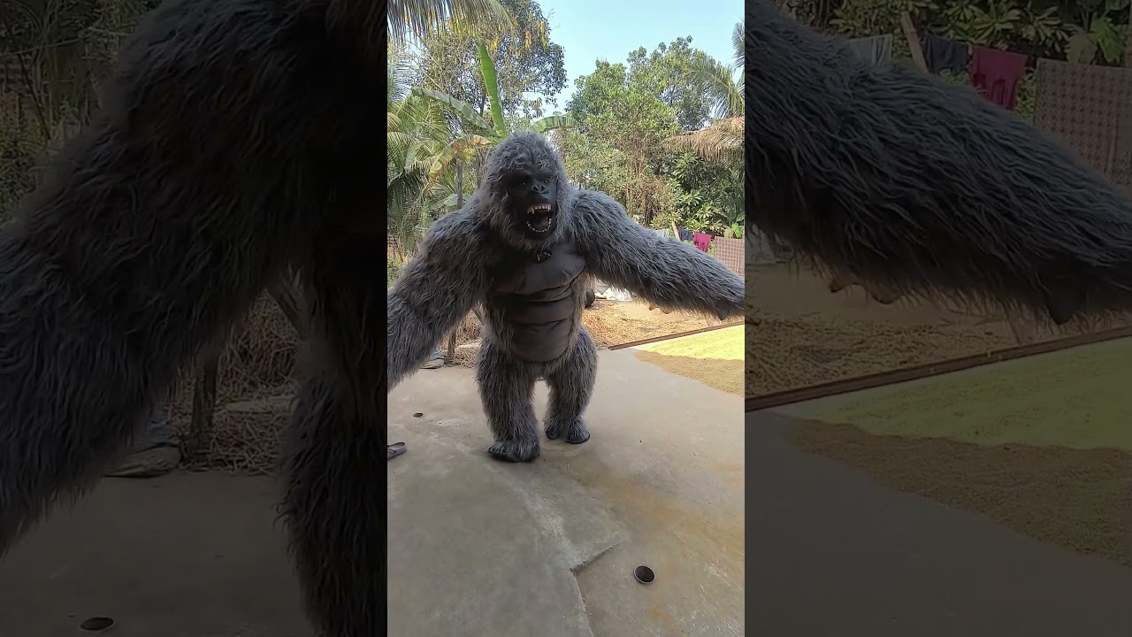 mini vlog of KD Pro sound remuna balasore, odisha m.8917434976