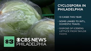 Pennsylvania now part of cyclosporiasis outbreak, 13 cases logged this year in Philadelphia
