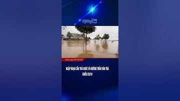 Ngập đoạn cầu Trà Khúc và đường Trần Văn Trà, chiều 29/10