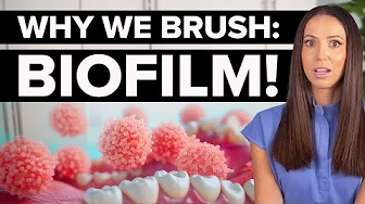 You Have 12 Hours Before BIOFILM Turns to Plaque! (Brushing Isn’t What You Think)