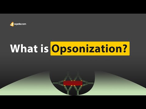 എന്താണ് Opsonization? | ഇമ്മ്യൂണോളജി വിദ്യാർത്ഥികൾക്ക് എളുപ്പമാക്കി | വി-ലേണിംഗ്™