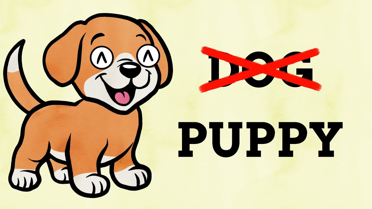 Why Baby Animals Have Their Own Names