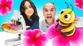 Komik video. Şenol ve Irmak ile eğlenceli videolar. Baba arıların eve girmesine izin veriyor!