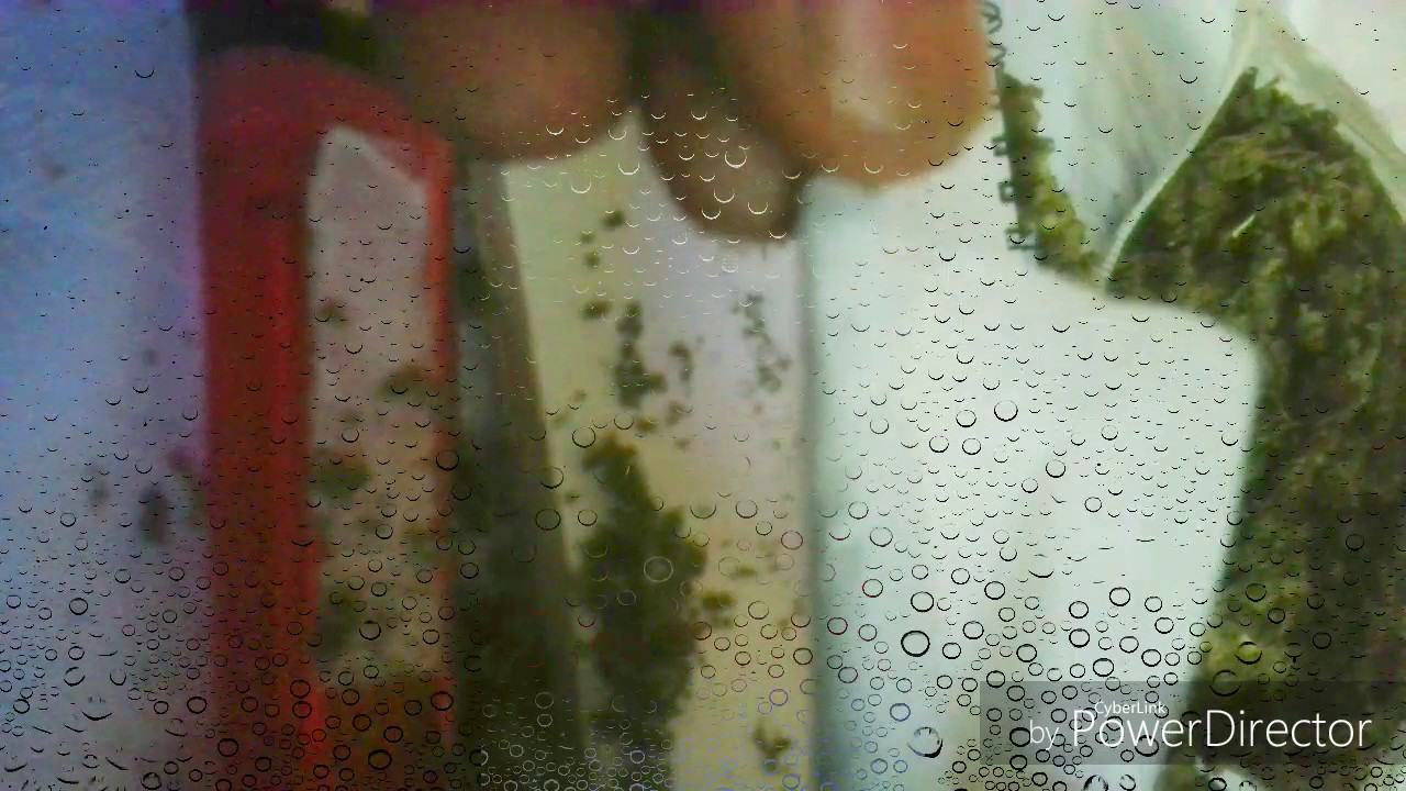 How to roll a BOB MARLEY JOINT (feat.gs kush)