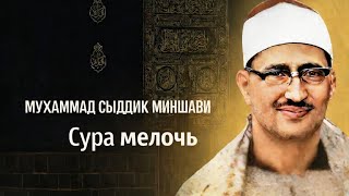 шейх: Мухаммад сыддик аль-миншави Сура: аль-маун (мелочь)