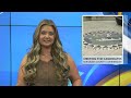 Meeting the candidates for Burleigh County Commission: Kay LaCoe