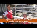 WK Plovdiv 2018 – interview WERELDKAMPIOENEN Corné de Koning en Annika van der Meer