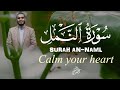 اعتزل العالم جانباً و أستمع  | سورة النمل كاملة | Sura AlNaml للقارئ #أحمد الشلبي