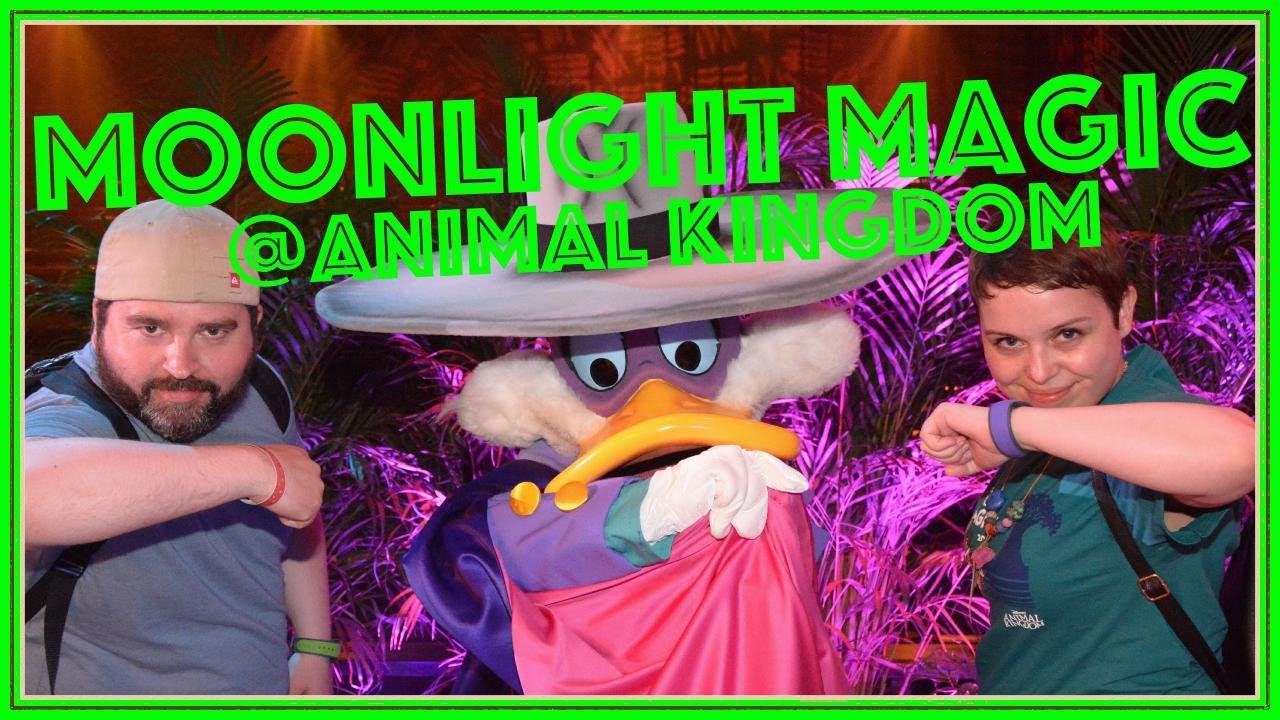 MOONLIGHT MAGIC ANIMAL KINGDOM meeting rare characters & highlights