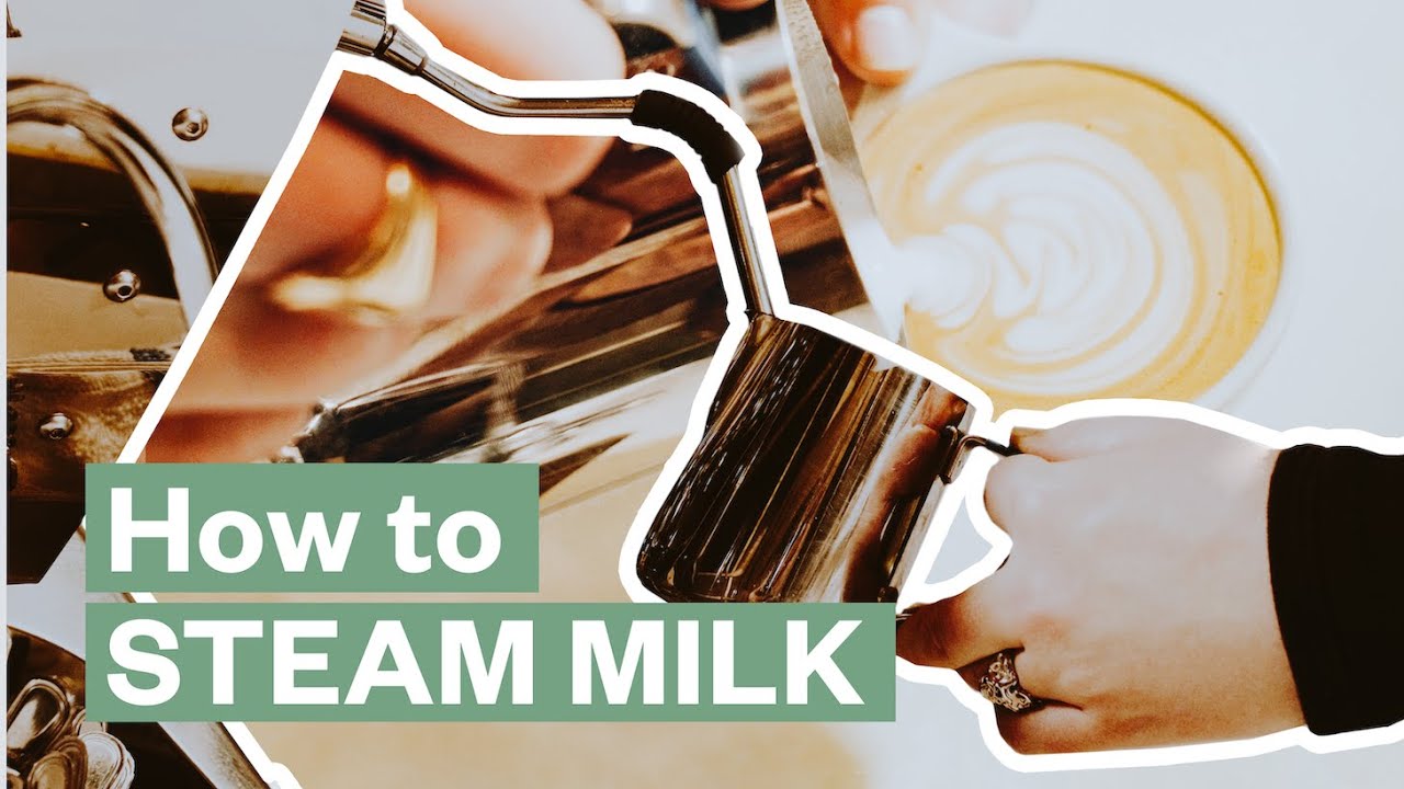 How To Steam Milk At Home (6 Best Ways) – Barista tips • Teafolly6