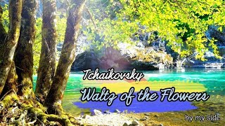 Tchaikovsky waltz of the flowers 깨끗하고 아름다운 계곡에서의 클래식  | 힐링음악, 휴식, 이완