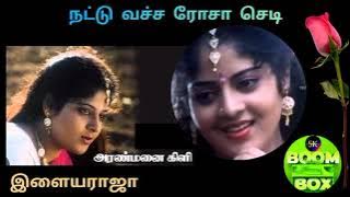 NATTU VACCHA  / ARANMANAI KILI / ILAYARAJA / P.SUSILA / DOLBY ATMOS / USE HEADPHONE 🎧🎧🎧