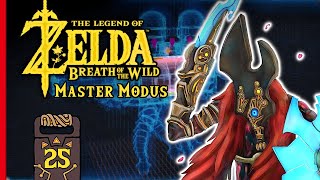 Ganons Donnerfluch besiegen - Zelda Breath of the Wild Master Modus ☠️