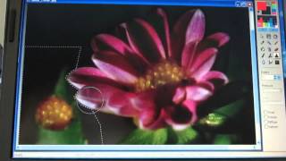 Using the Photo Filtre Clone Tool
