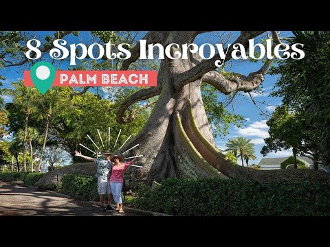 Vidéo: 12 des attractions les mieux notées et des activités à West Palm Beach