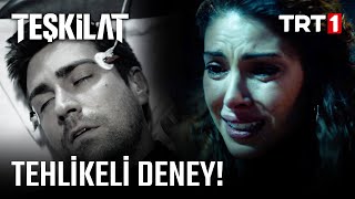 Serdar Ve Zehra, Her Şeyin Başladığı Yerdeler - Teşkilat 24. Bölüm