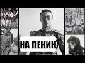 Китайский Император в Hearts Of Iron 4