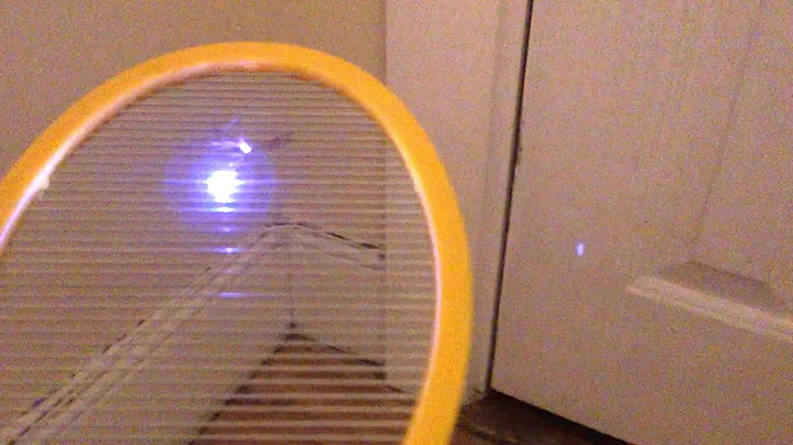 Electric Fly Swatter Battle: Executioner vs. Zap-It! vs. Elucto - Bug Zapper Review - DayDayNews