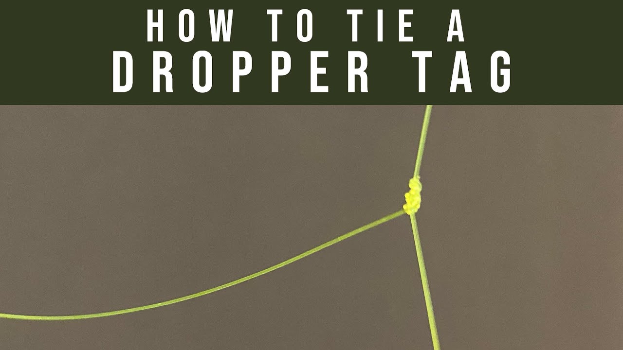How to tie a dropper tag leader 